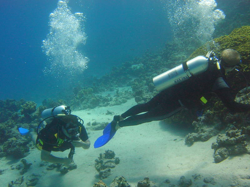 red sea_071.jpg